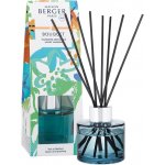 Maison Berger Paris difuzér Mini Revelry Voňavá mandarinka 80 ml – Hledejceny.cz