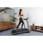 Flow Fitness DTM400i – Hledejceny.cz