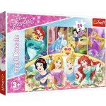 Trefl Disney princezny MAXI 24 dílků – Sleviste.cz