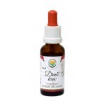 Salvia Paradise Dračí krev kapky 25 ml – Hledejceny.cz
