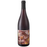 Krásná Hora Pinot noir 2024 14% 0,75 l (holá láhev) – Hledejceny.cz