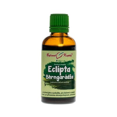 Bylinné kapky Eclipta Neshodice Bhringarádža tinktura 50 ml – Hledejceny.cz