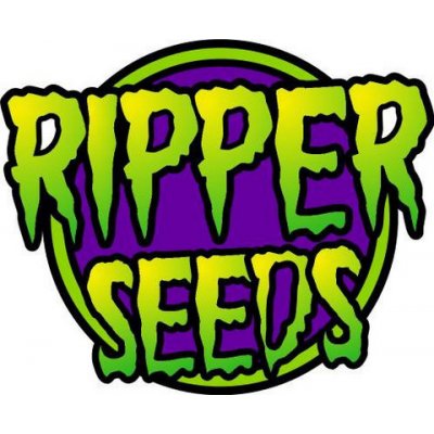 Ripper Seeds OMG semena neobsahují THC 5 ks – Zboží Dáma