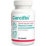 DOLFOS Carcifin 90 tabl. podpora v terapii proti rakovině tablety pro psy a kočky – Hledejceny.cz