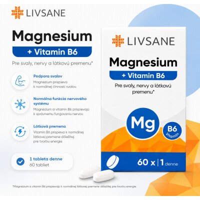 LIVSANE Magnesium + Vitamin B6 60 ks – Hledejceny.cz