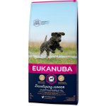 Eukanuba Adult Large Breed 3 kg – Hledejceny.cz