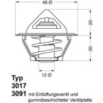 Termostat, chladivo BorgWarner (Wahler) 3017.92D2 – Sleviste.cz