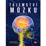 Tajemství mozku srozumitelně - Fascinující cesta do nitra lidské mysli – Hledejceny.cz
