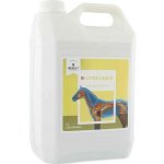 RESULT EQUINE R Lytes Liquid 1 l – Hledejceny.cz