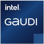 Habana Intel Gaudi 2 96GB HBM2 HL-225H – Zboží Živě