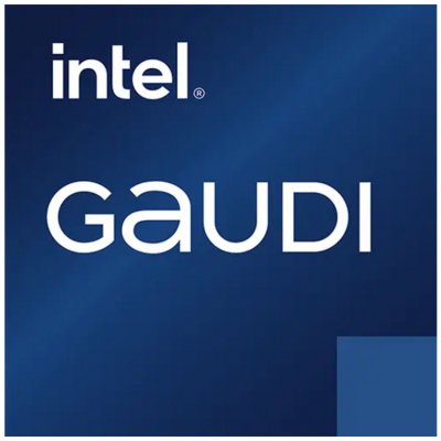 Habana Intel Gaudi 2 96GB HBM2 HL-225H – Zboží Mobilmania