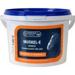 Biofarmab Muscle E pro koně 0,9 kg – Zboží Mobilmania