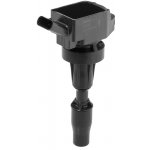 Zapalovací cívka BorgWarner (BERU) ZSE301 – Hledejceny.cz