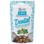 Brit care cat snack dental krůtí 50 g – Zboží Mobilmania
