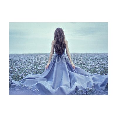 Weblux 70223866 Fototapeta papír Back view of standing young woman in blue dress Zadní pohled na stojící mladá žena v modrých šatech rozměry 360 x 266 cm