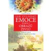 Kniha Jak zvládat emoce pomocí obrazů živlů - Jelínek Vladimír