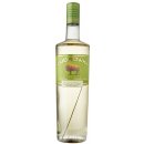 Vodka Zubrowka Bison Grass 40% 1 l (holá láhev)