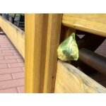 Kinekus Kunagone Odpudzovač mačiek 2 ks KIN3141063 – Zboží Mobilmania