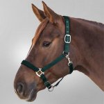 Waldhausen Ohlávka SATIN zelená – Hledejceny.cz