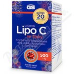 GS Vitamin Lipo C 500 mg se šípky XXL 110 kapslí – Hledejceny.cz