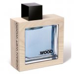 Dsquared2 He Wood Ocean Wet Wood toaletní voda pánská 100 ml – Hledejceny.cz