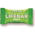 Lifefood Lifebar RAW BIO 25 g – Hledejceny.cz