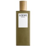 Loewe Esencia Loewe toaletní voda pánská 50 ml – Hledejceny.cz