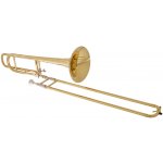 Bacio Instruments BST-300 – Zboží Dáma