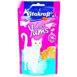 Vitakraft Yums losos 40 g – Zbozi.Blesk.cz