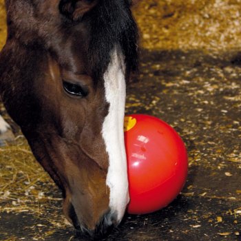 Likit míč na hraní Snack and Ball