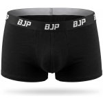 BJP Core Černé – Sleviste.cz