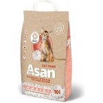 Asan Cat Pure 42 l – Zboží Dáma