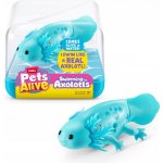 ZURU Pets Alive plovoucí axolotl – Sleviste.cz