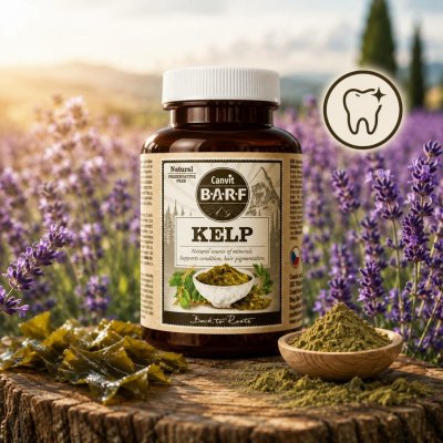Canvit BARF Kelp mořská řasa 60 g – Hledejceny.cz