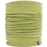 Icebreaker Flexi Chute Loden zelená – Sleviste.cz