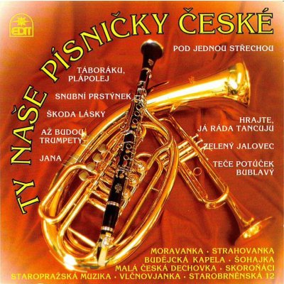 Různí - Ty naše písničky české CD – Hledejceny.cz