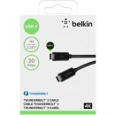 Belkin F2CD081BT1M-BLK USB-C Thunderbolt, 1m, černý