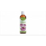 Serafin Echinacea tinktura z bylin 50 ml – Zboží Mobilmania