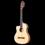 Ortega RCE125SN – Zboží Mobilmania