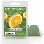 Country candle Citrus and Sage Vonný Vosk, 64g – Zboží Dáma