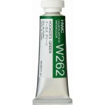 Holbein Akvarelová barva 15ml zelená W262 – Hledejceny.cz