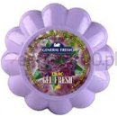 General Fresh osvěžovač vzduchu gelový Lilac 150 g