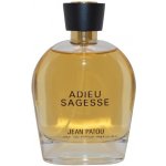 Jean Patou Collection Héritage Adieu Sagesse parfémovaná voda dámská 100 ml – Hledejceny.cz