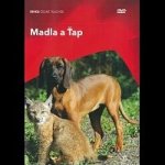 Chaloupek václav: madla a ťap DVD – Hledejceny.cz