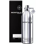 Montale Ginger Musk parfémovaná voda unisex 100 ml – Hledejceny.cz