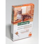 Advantage Spot-on pro malé kočky a králíky 40 mg 1 x 0,4 ml – HobbyKompas.cz