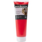 Molenaer akrylová barva 250 ml modrá – Sleviste.cz