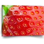 Sablio Obraz Detail jahody - 120x80 cm – Hledejceny.cz