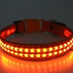 Reedog luminous USB svíticí obojek – Zboží Dáma