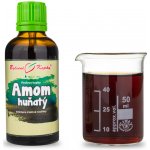 Bylinné kapky Amom huňatý TCM Pavlovy tinktura 50 ml – Hledejceny.cz